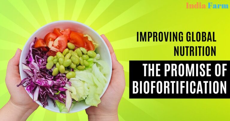 Biofortification: Harnessing Agriculture for Enhanced Nutritional Content