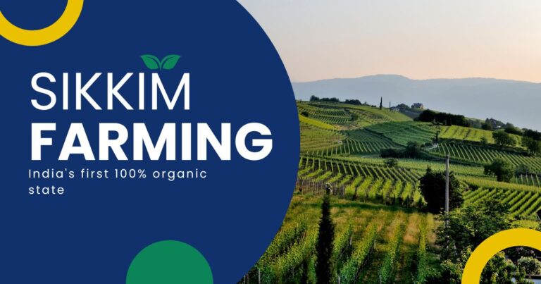 Sikkim, the India's first 100% organic state
